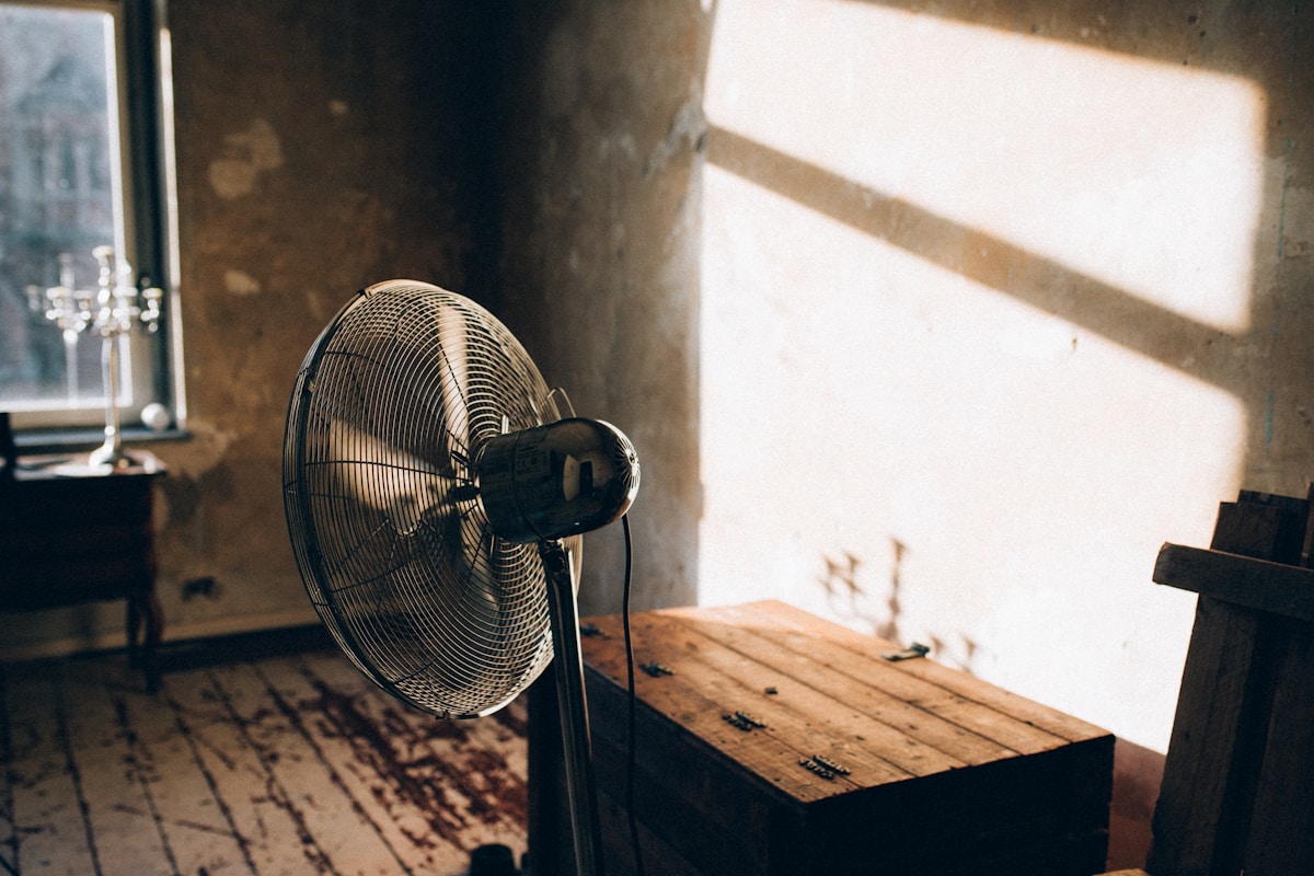 Mold Remediation service in Bossier City, LA