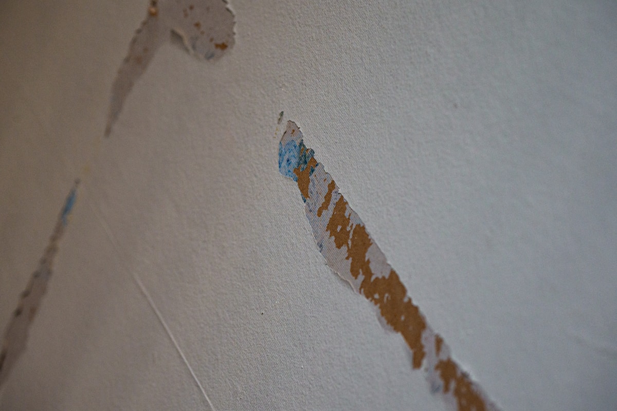 Flood Cleanup service in Bossier City, LA